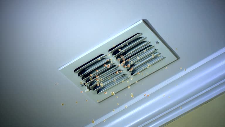 Best HVAC System Cleaning  in Galesville, WI
