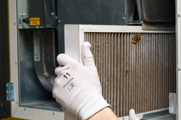 Best Residential Air Duct Cleaning  in Galesville, WI