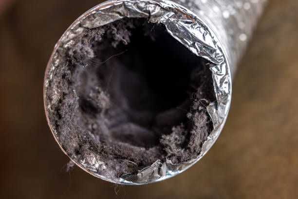 Best Air Duct Cleaning Near Me  in Galesville, WI