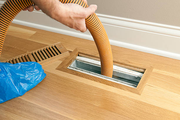 Best Local Air Duct Cleaning Services  in Galesville, WI